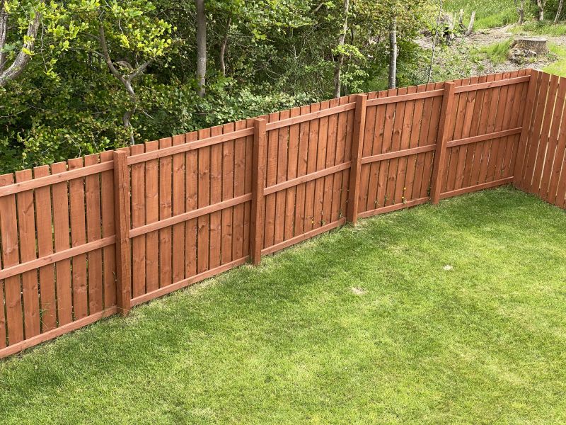 Privacy Fence Painting