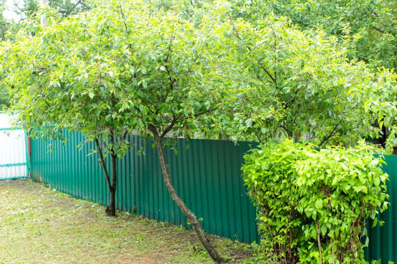 Privacy Fence Painting