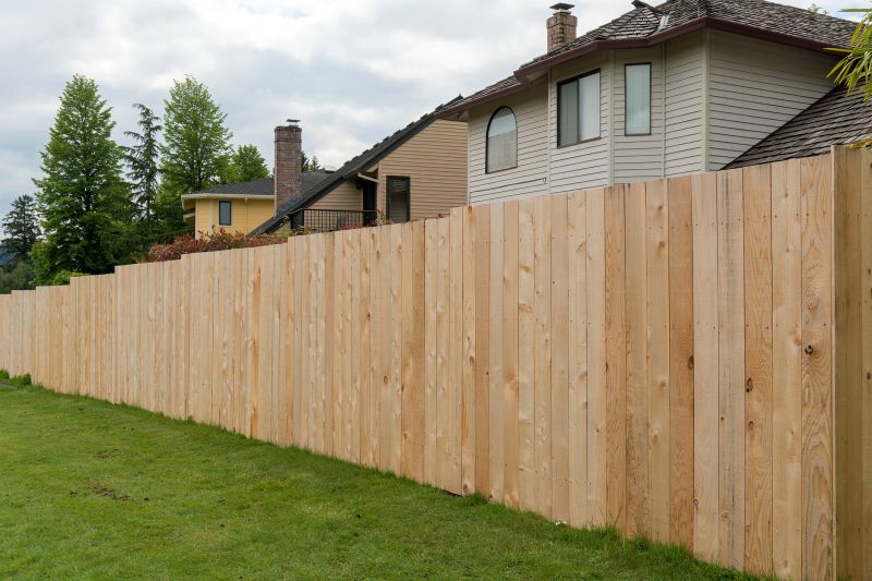 Privacy Fence Painting
