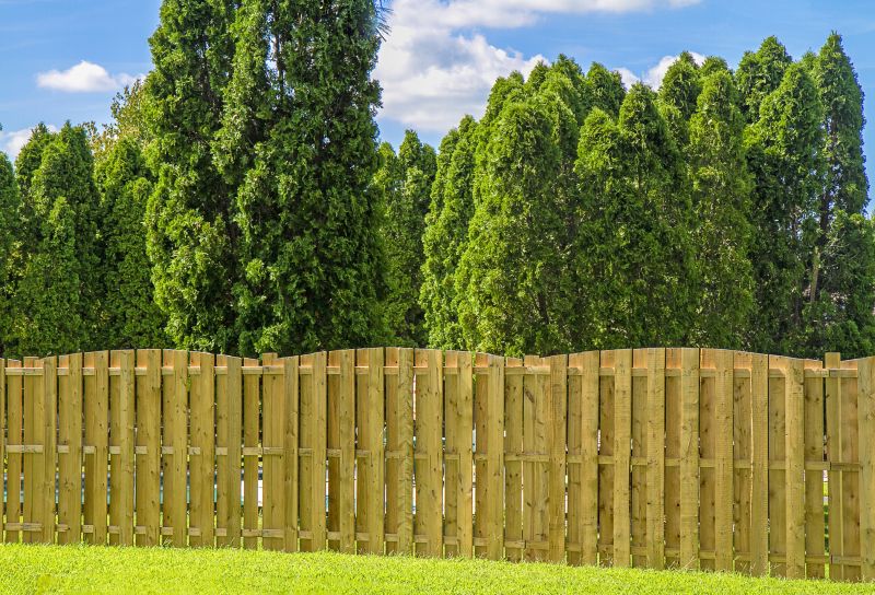 Privacy Fence Painting